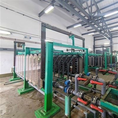 ¿Cuáles son los impactos de la desinfección municipal en el mercado inmobilia...